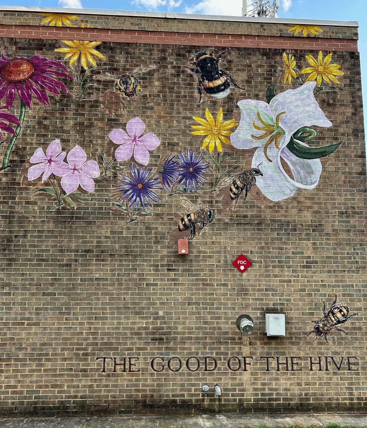 주간 업데이트, 11월 14일