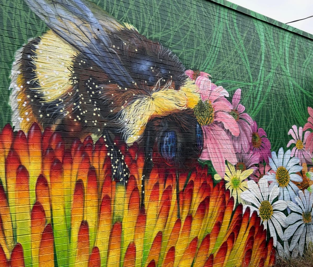 Weekly update, November 28