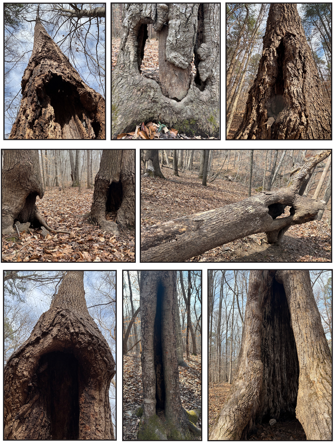 Weekly update, March 13