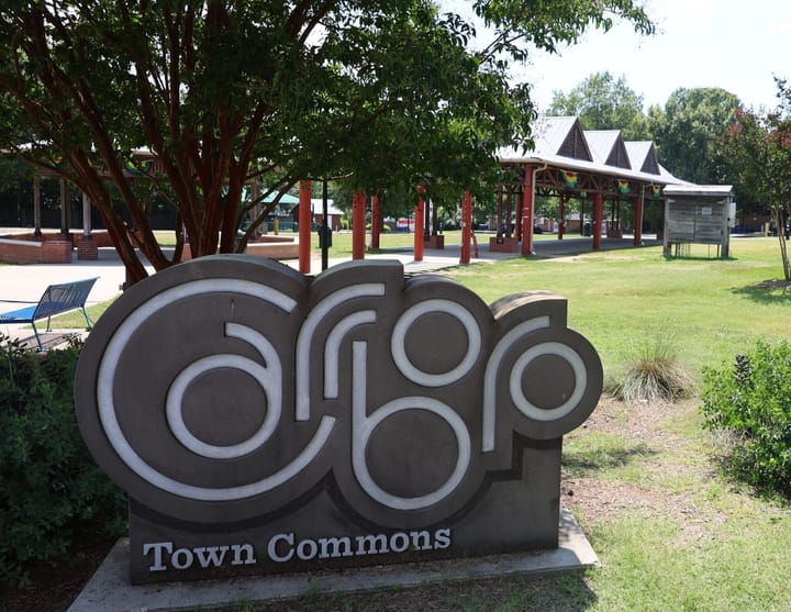 The Carrboro Music Festival