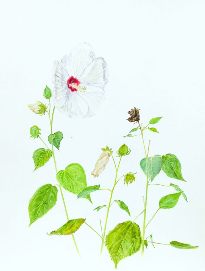 2nd Friday Art Walk Preview