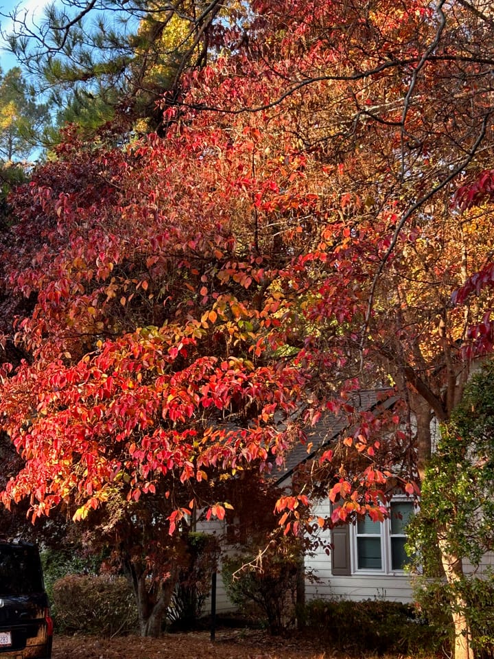 Housing in Carrboro: a brief overview