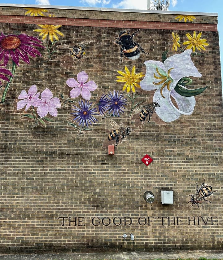 주간 업데이트, 11월 14일