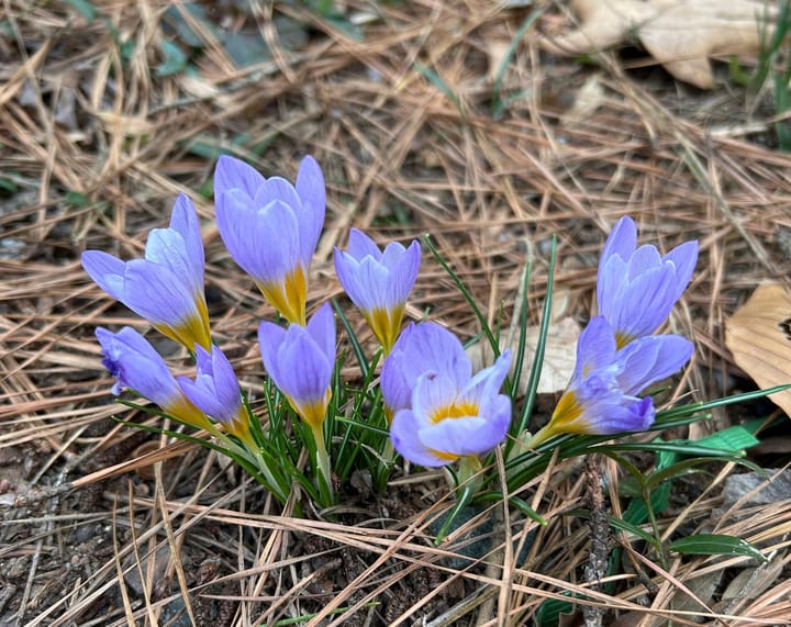 Weekly update, January 16