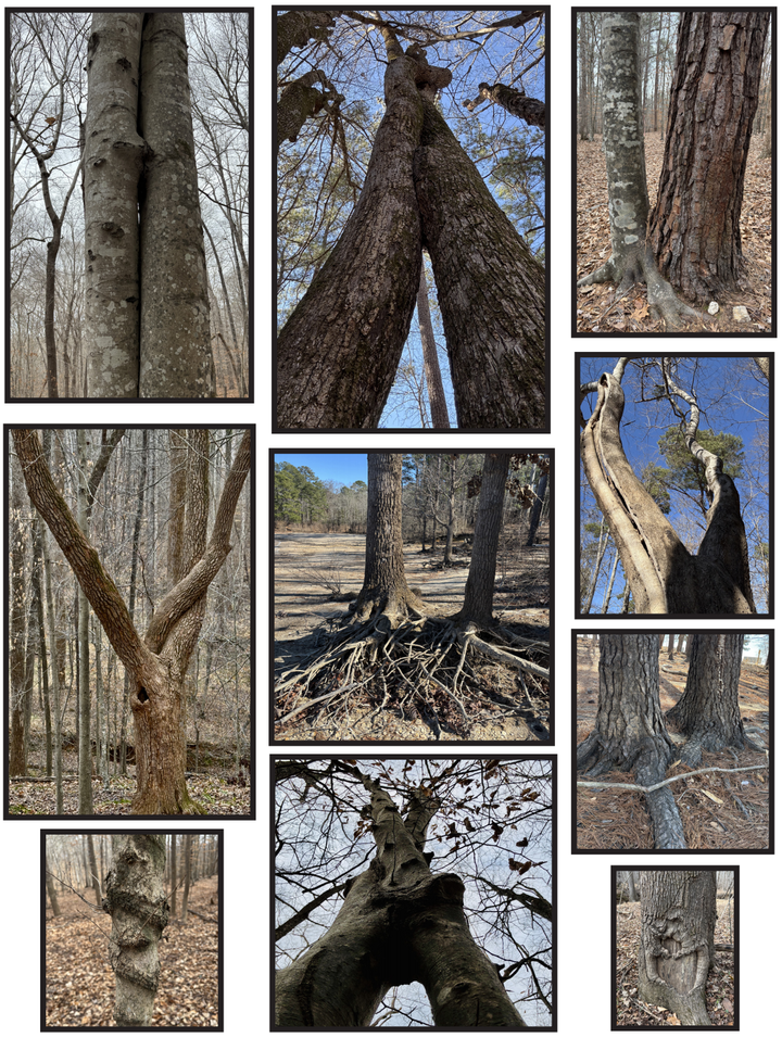 Weekly update, February 20